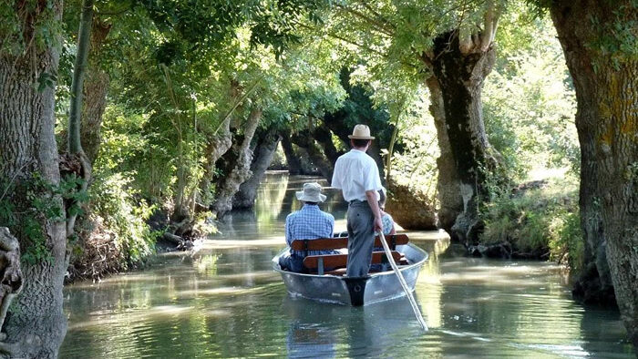 5e05d9d865a4f511250075