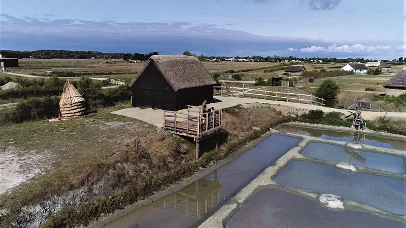 Daviaud Lbdm 12 Coti Ma 1400x660