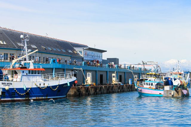 Port C Haliotika Zoehill1