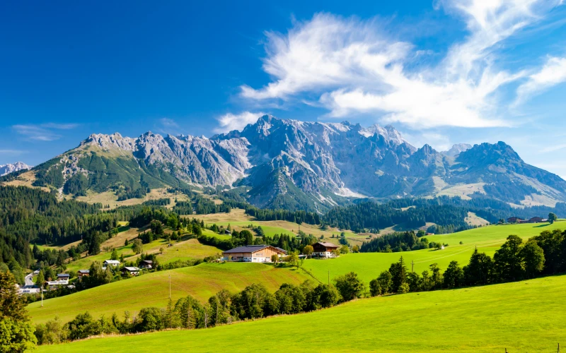 Fonc Suisses Webp