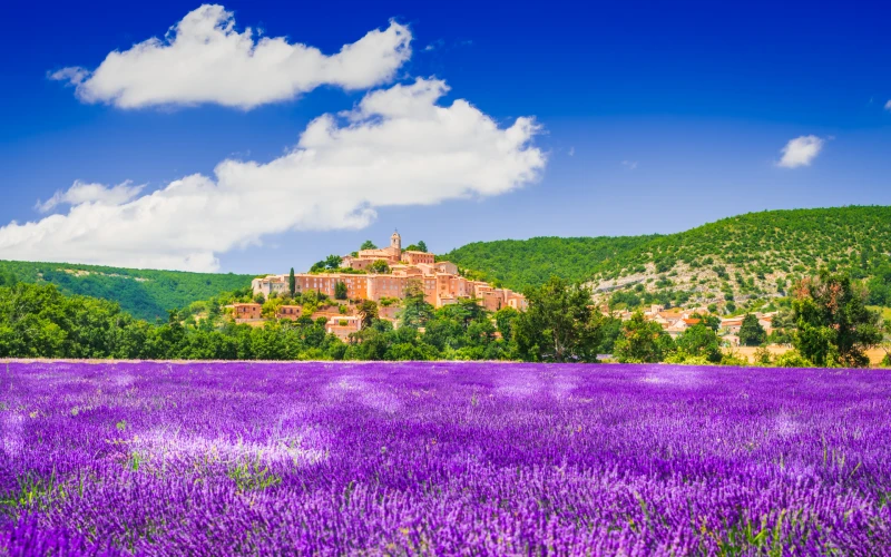 Village Et Lavande Webp