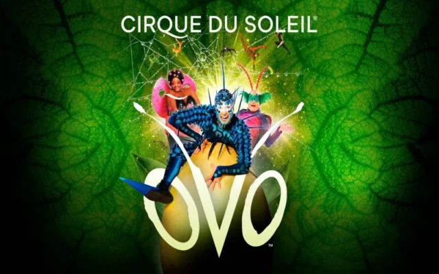 Image 0991454 20230319 Ob F47ef5 Cirque Du Soleil Ovo